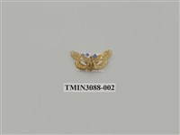 藏品(螟蛾66)的圖片